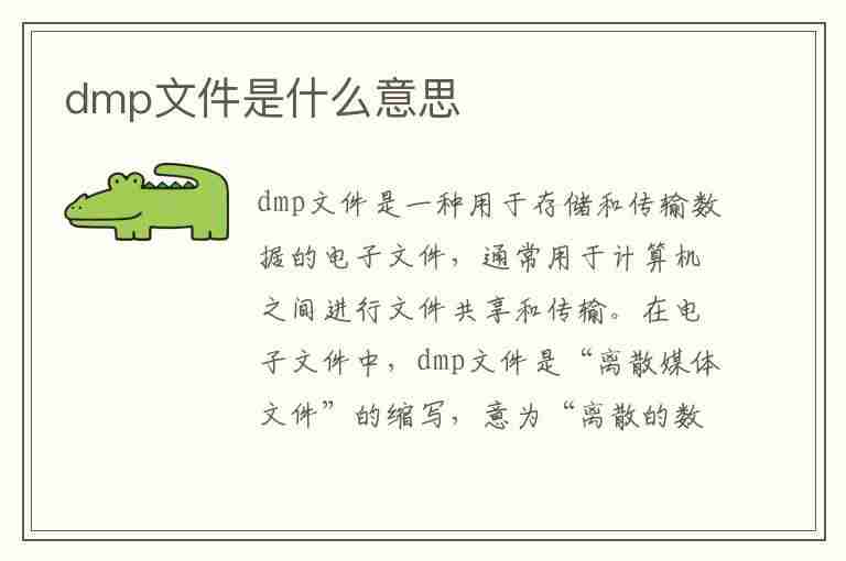 dmp文件是什么意思(dmp文件是什么意思?能从c盘里删除吗?)